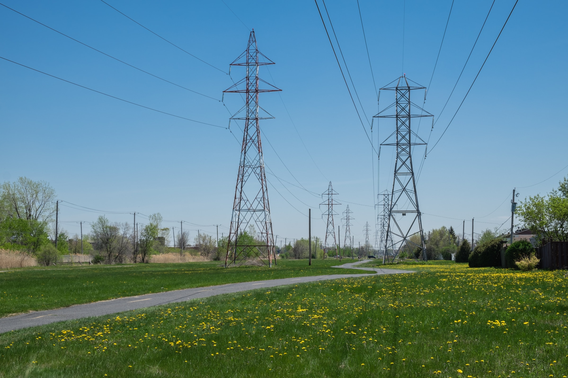 Servicios Eléctricos